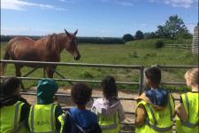 Holiday Playscheme